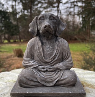 Buddha dog meditating statue